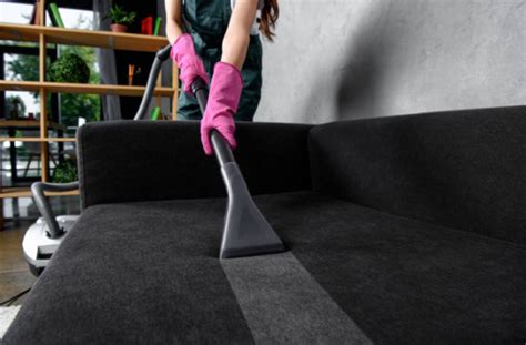 The Art of Professional Carpet and Upholstery Cleaning: Insights from the Experts